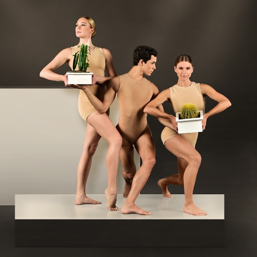 Studio Spotlight: Cacti & Other Works show poster