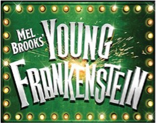 Mel Brooks' Young Frankenstein show poster