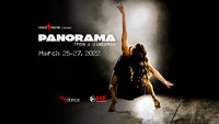 Panorama — From a Distance show poster