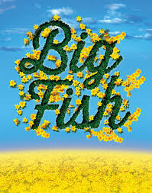 Big Fish show poster