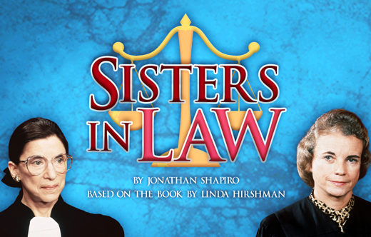 Sisters in Law show poster