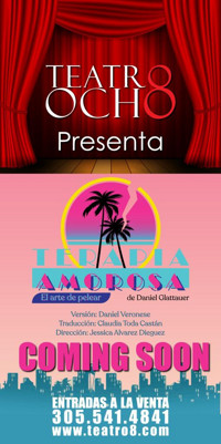 El Arte de Pelear, Terapia Amorosa de Daniel Glattauer show poster