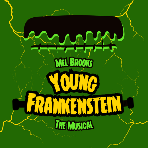 YOUNG FRANKENSTEIN, The Musical show poster