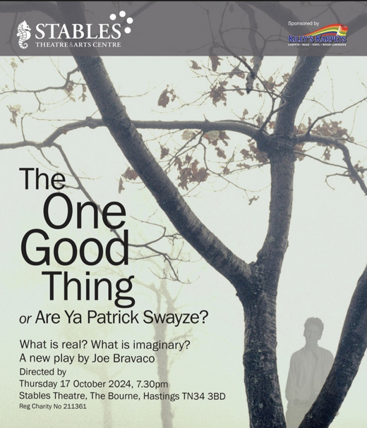 The One Good Thing, or Are Ya Patrick Swayze?