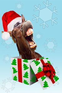 Horse Head Holiday Huzzah!
