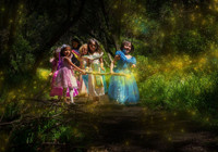 A Faery Hunt Enchanted Adventure show poster