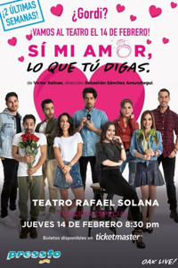Si Mi Amor, Lo Que Tu Digas show poster