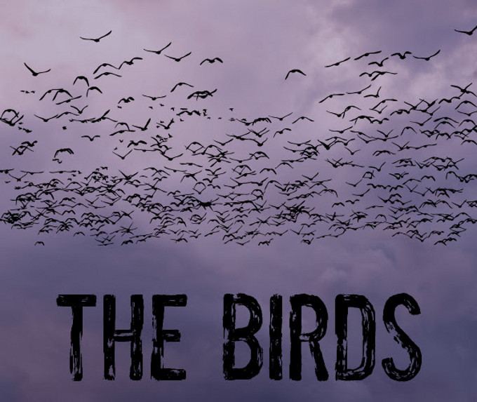 The Birds