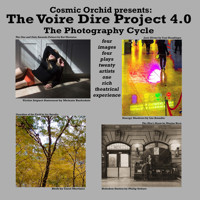 The Voire Dire Project 4.0: The Photography Cycle
