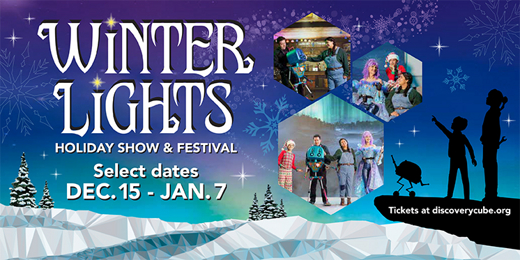 Winter Lights: A Journey Home show poster