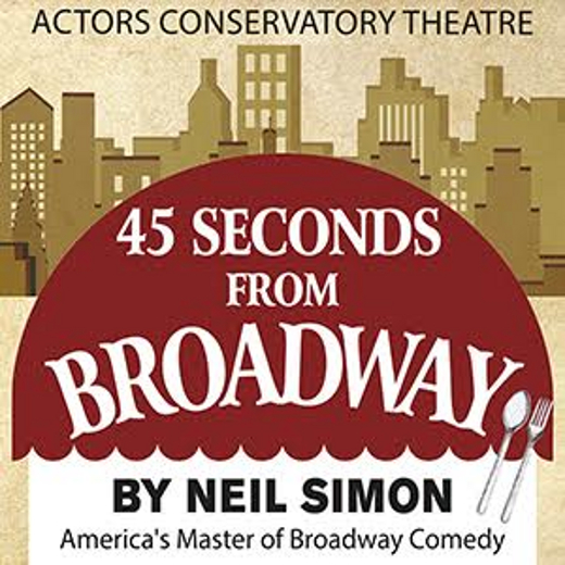 45 Seconds from Broadway show poster