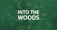 Into the Woods in Des Moines