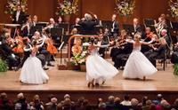 Salute to Vienna: New Year's Concert