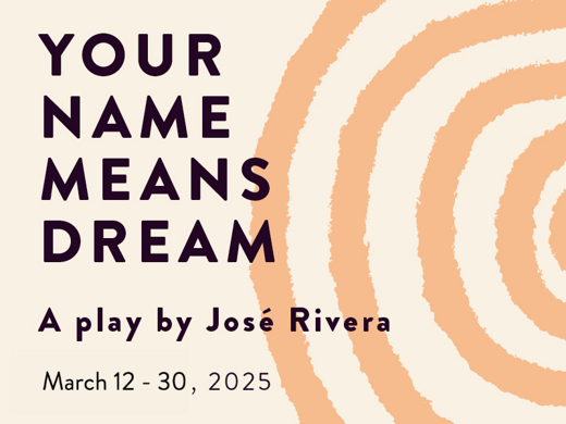 Your Name Means Dream show poster