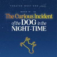 The Curious Incident of the Dog in the Night-time show poster