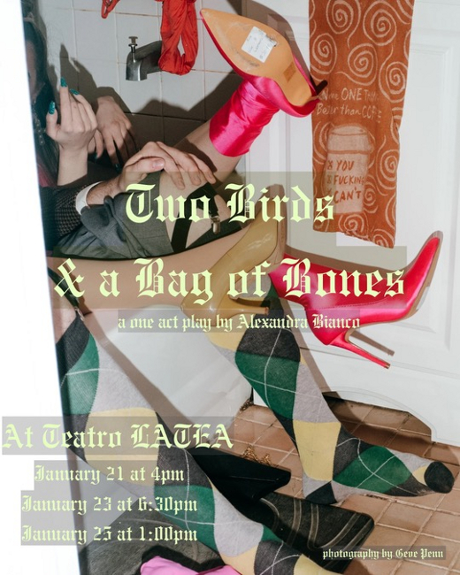 Two Birds And A Bag Of Bones