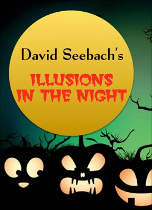 David Seebach's Illusions in the Night