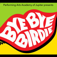 Bye Bye Birdie