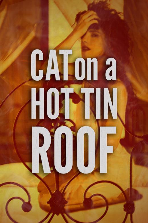 Cat on a Hot Tin Roof in Central Pennsylvania