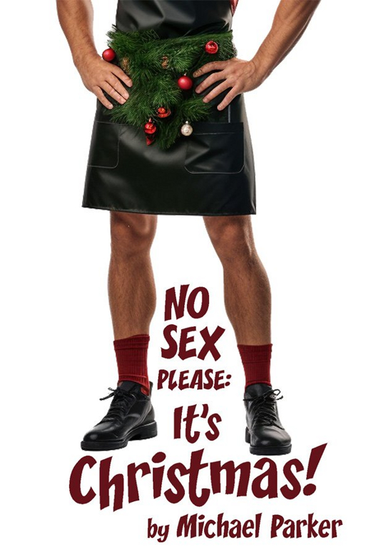 No Sex Please, It's Christmas
