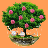 Midsummer's Dream: Bike Ride 2021