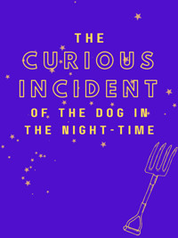 The Curious Incident of the Dog in the Night-Time in Boise