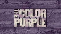 The Color Purple in Long Island