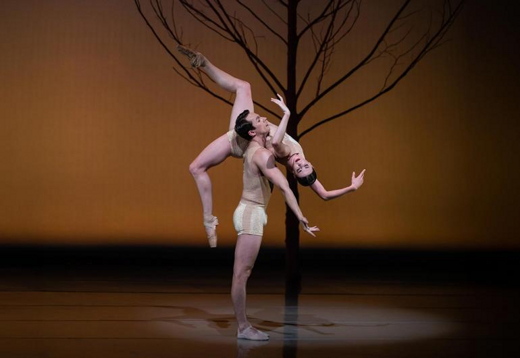 BalletMet in Minneapolis / St. Paul