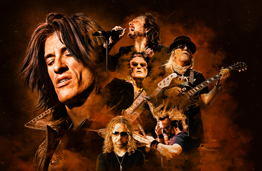 The Joe Perry Project