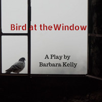 Bird at the Window show poster