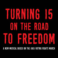 Turning 15 On The Road To Freedom show poster