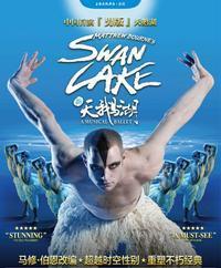 Swan Lake show poster