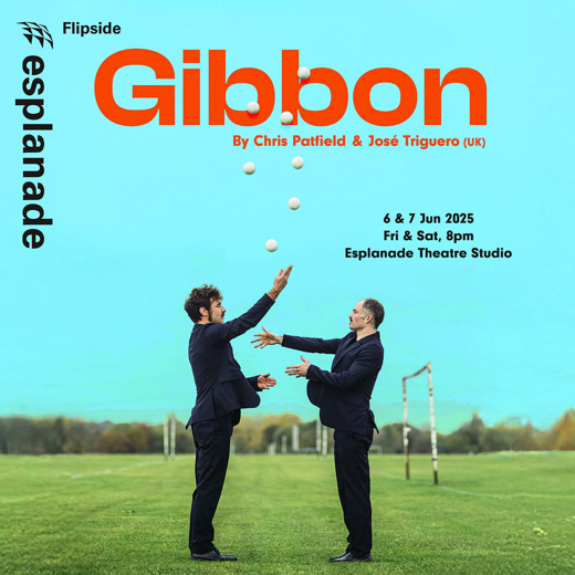 Flipside: Gibbon show poster