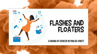 Flashes & Floaters