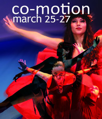 Co-Motion show poster