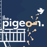 the pigeon. show poster