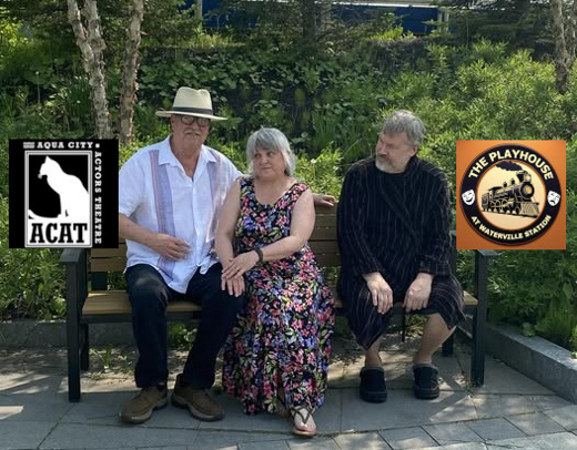 A Bench In The Shade