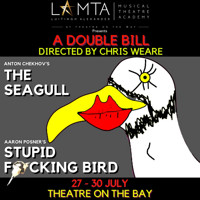 A Double Bill: The Seagull by Anton Chekhov & Stupid F*cking Bird by Aaron Posner show poster