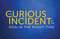 The Curious Incident of the Dog in the Night-Time in South Carolina