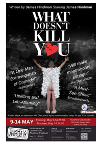 What Doesn't Kill You by James Hindman show poster