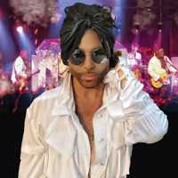 The Purple Xperience: A Prince Tribute