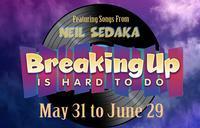 Breaking Up Is Hard To Do show poster