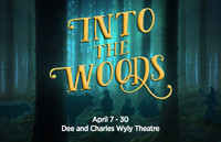 Into the Woods in Dallas