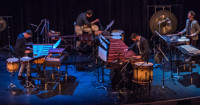 Metamorphosis: Third Coast Percussion featuring Movement Art Is in Houston