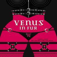 Venus in Fur show poster