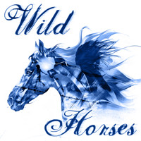 Wild Horses show poster
