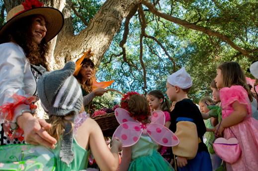 A Faery Hunt Enchantment