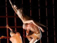 Cedar Lake Contemporary Ballet: Program B