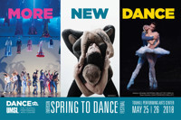 SPRING TO DANCE Festival show poster