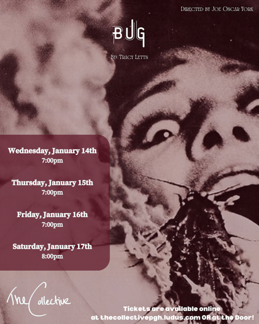 Bug show poster